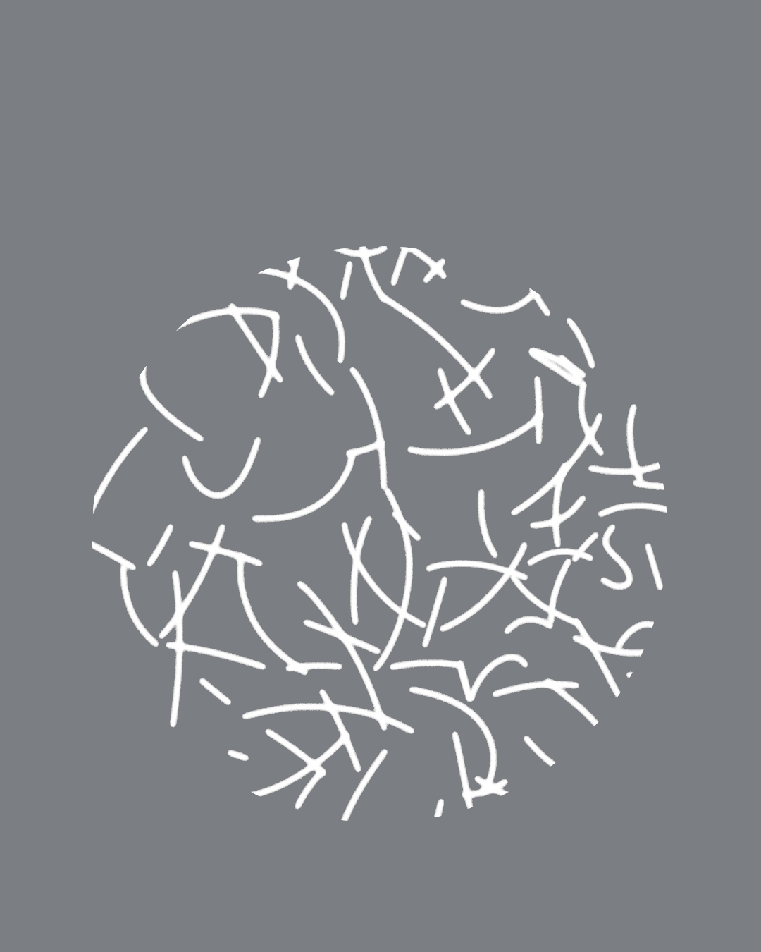 THE NORTH FACE Purple Label / 2026SS Catalog