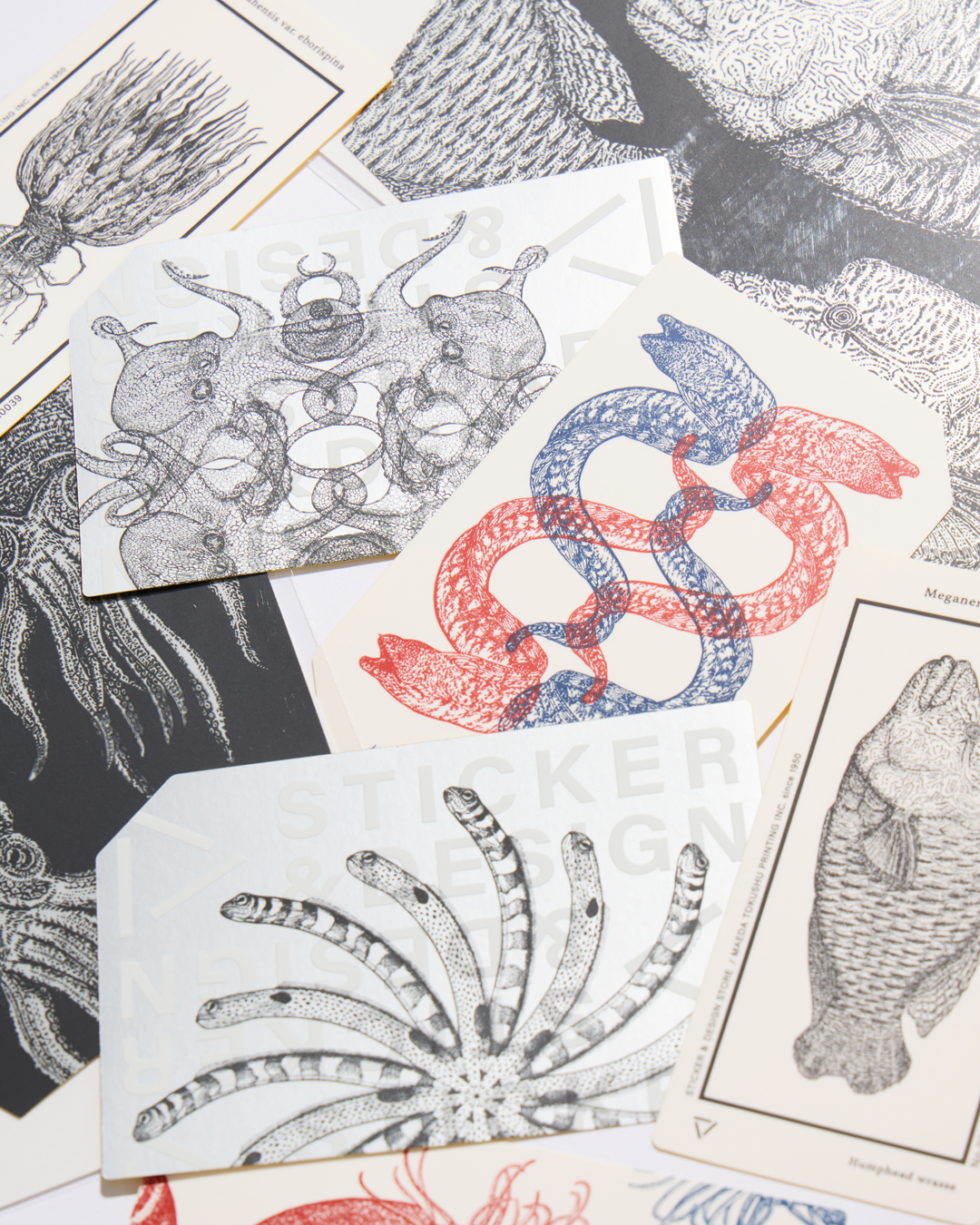 海の生き物を手仕事で写し取る　マエダ特殊印刷STICKER ＆ DESIGN STORE POP U…
