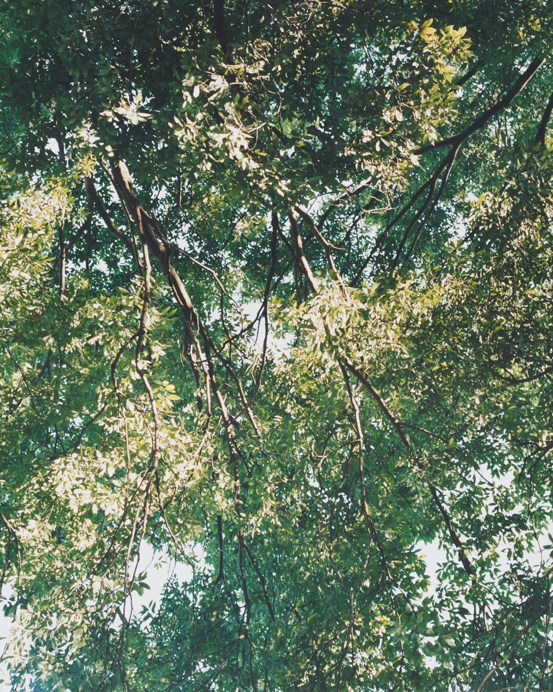 nanamica MOUNTAIN produces “STROLL IN THE SHIZEN” …