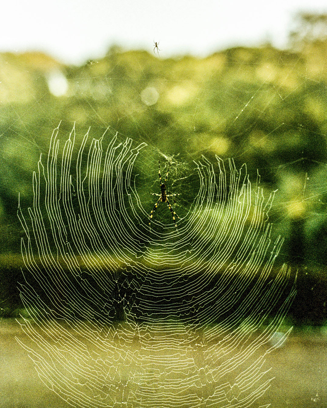 SLOW COLLAPSE ONE OCEAN, ALL LANDS PHOTO BOOK LAUN…