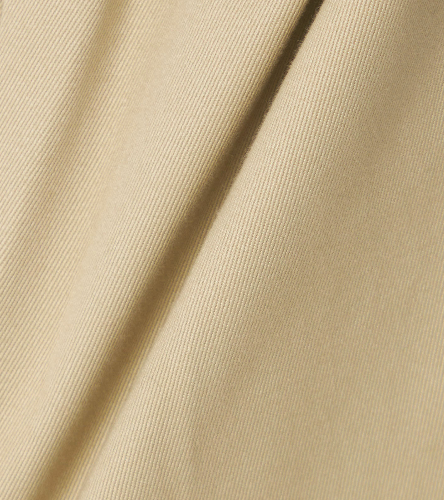 Double Pleat Chino Shorts
