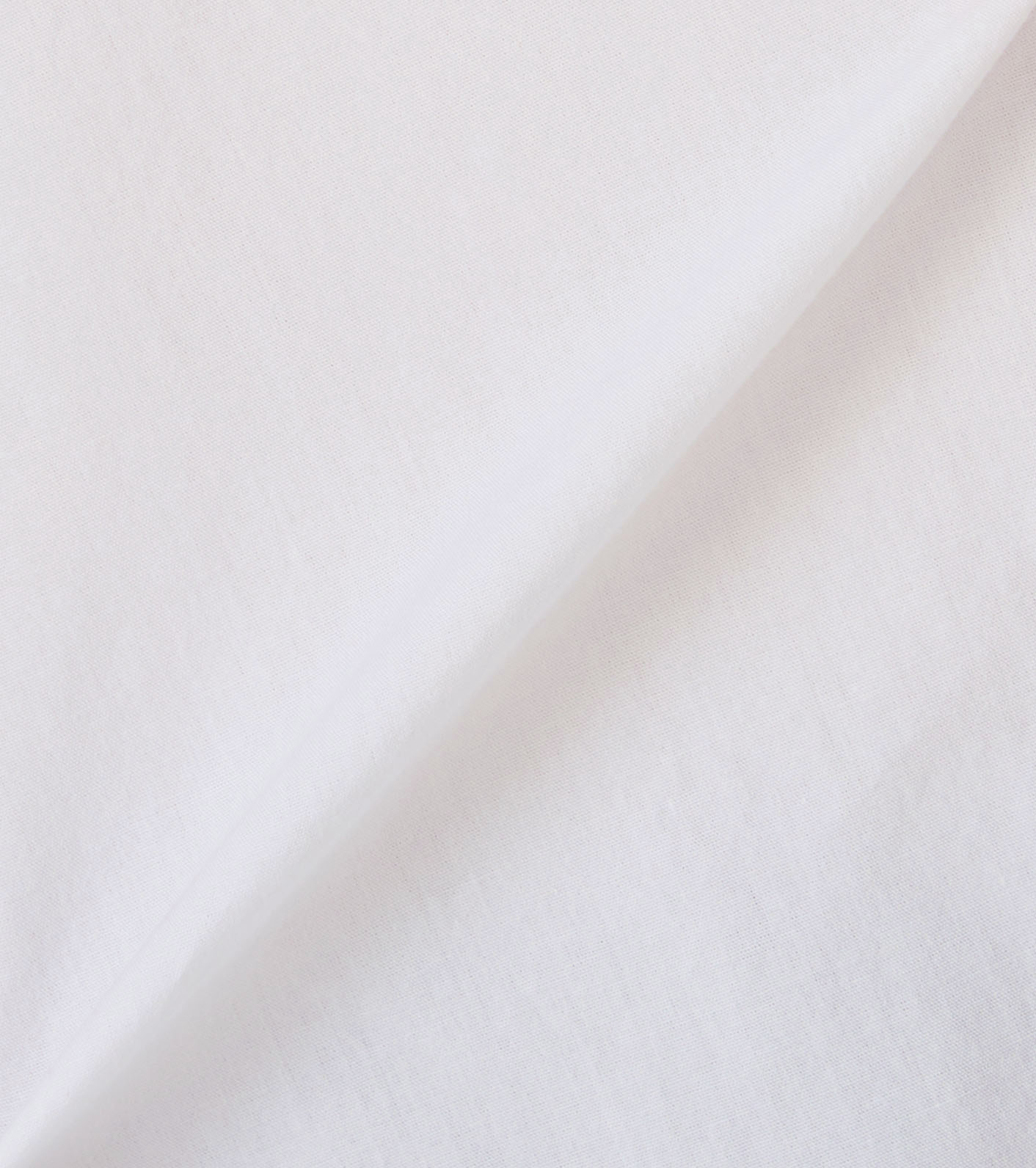 Traditional Fit Shirt