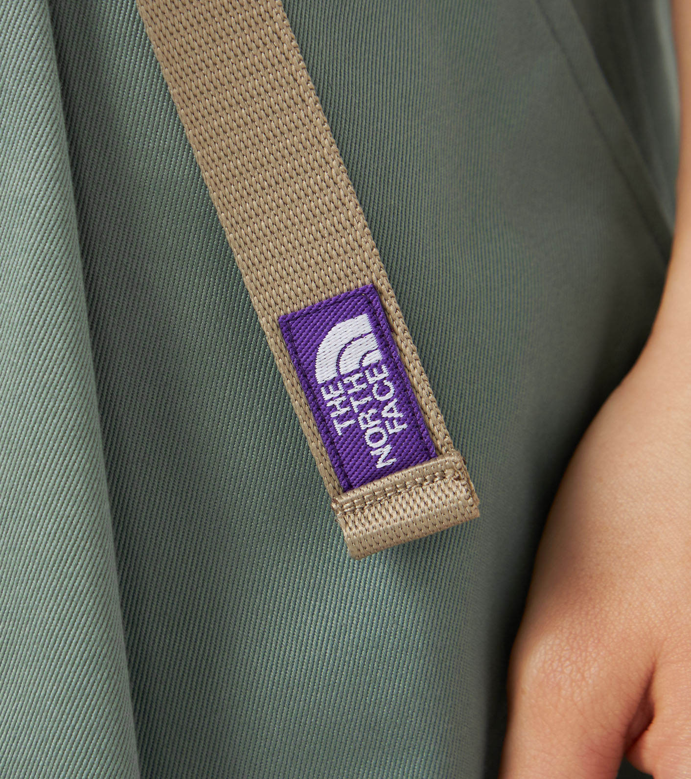 Chino Tuck Field Shorts