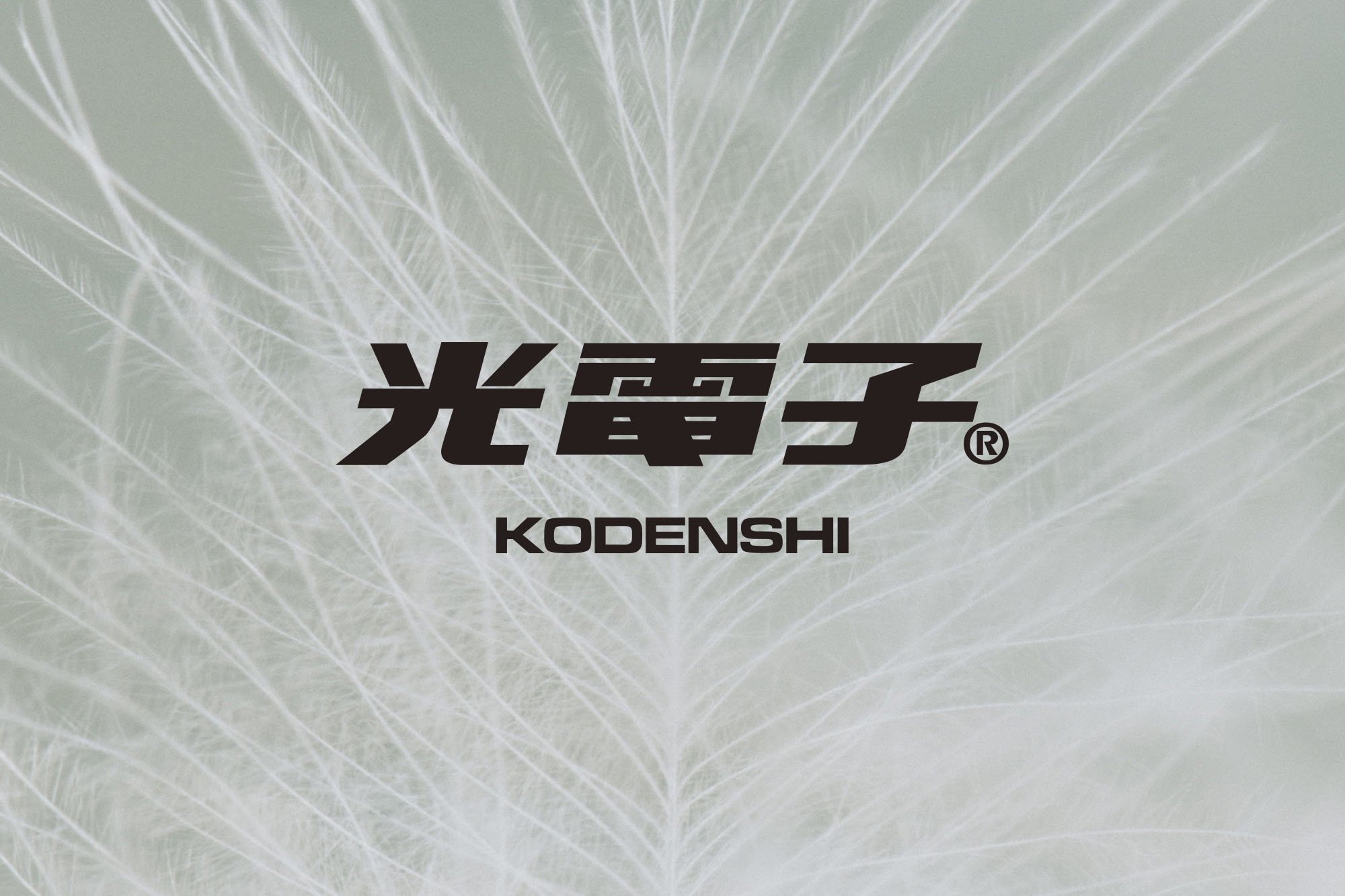 光電子®ダウン