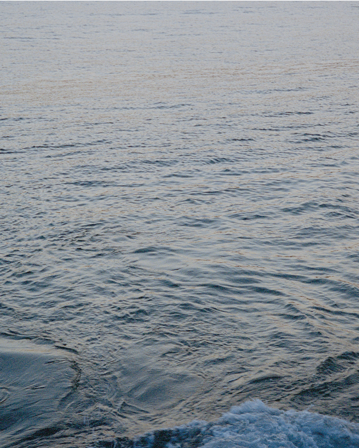 2026 Spring and Summer collection