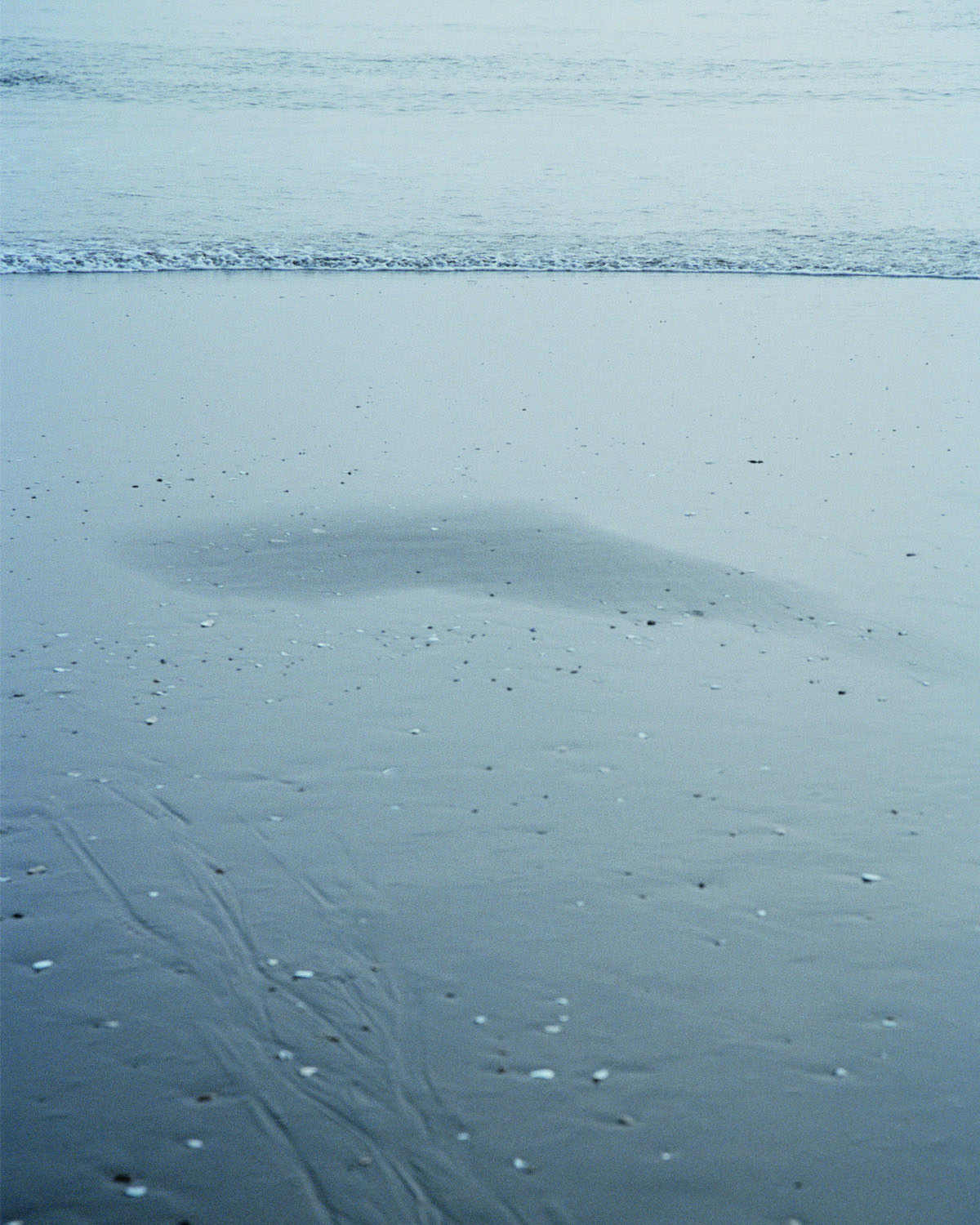 2026 Spring and Summer collection