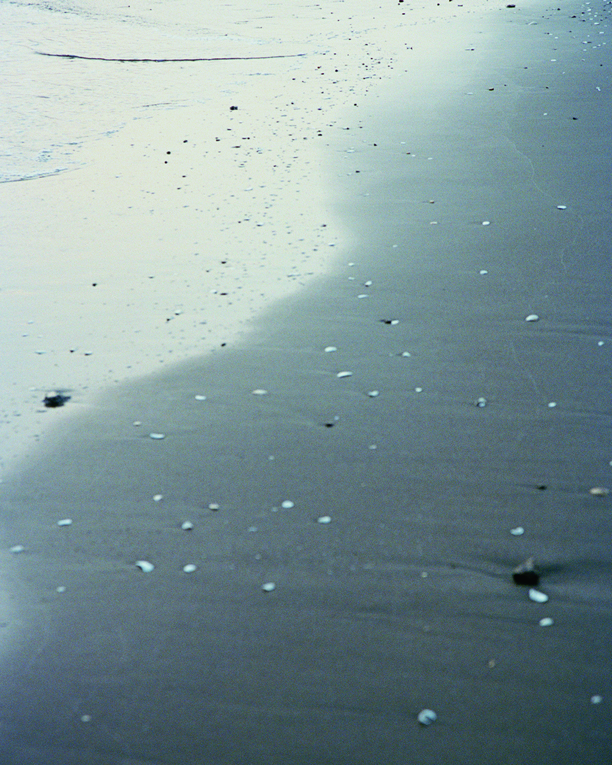 2026 Spring and Summer collection