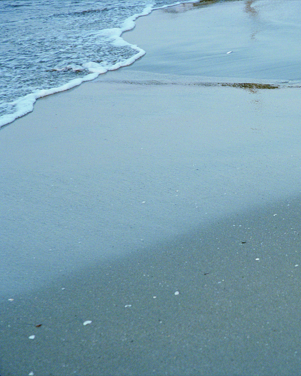 2026 Spring and Summer collection